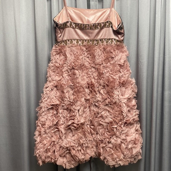 Sue Wong Blush Dress - Picture 5 of 7